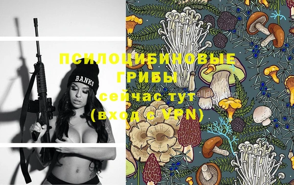 дурь Абаза