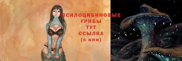 дурь Абаза