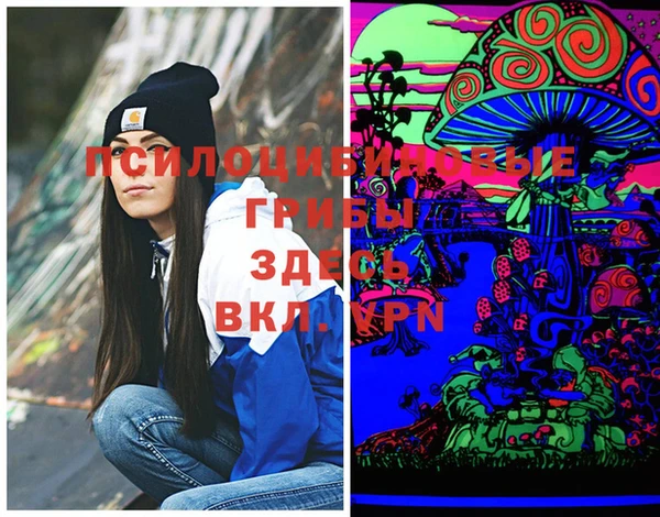дурь Абаза