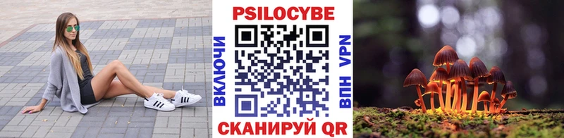 где найти наркотики  Кораблино  KRAKEN вход  Галлюциногенные грибы прущие грибы 